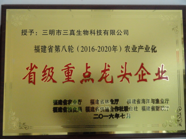 DSC09193.JPG