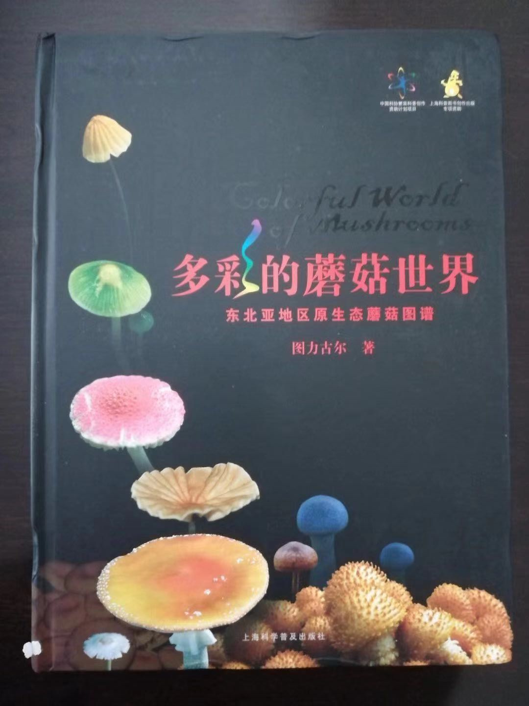 828041105.jpg