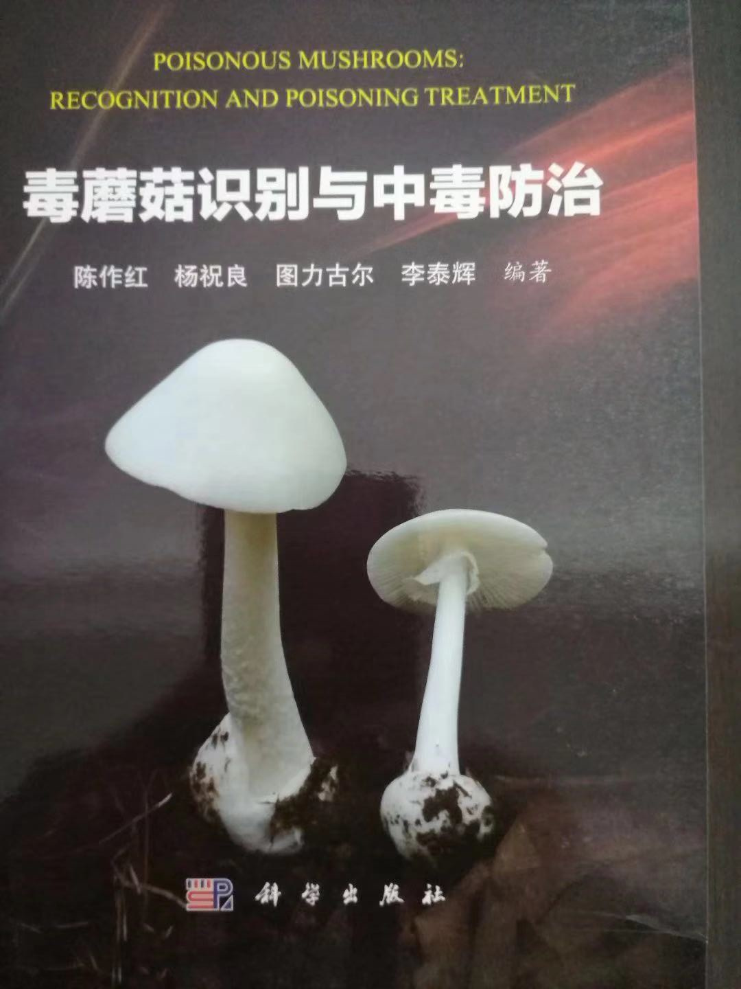 891966424.jpg