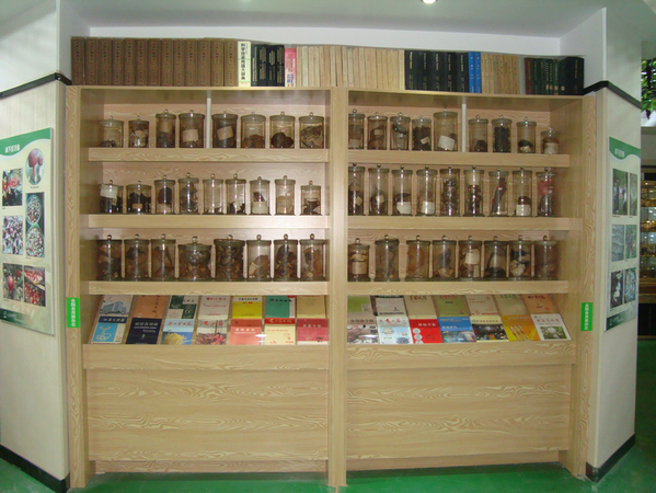 18.JPG