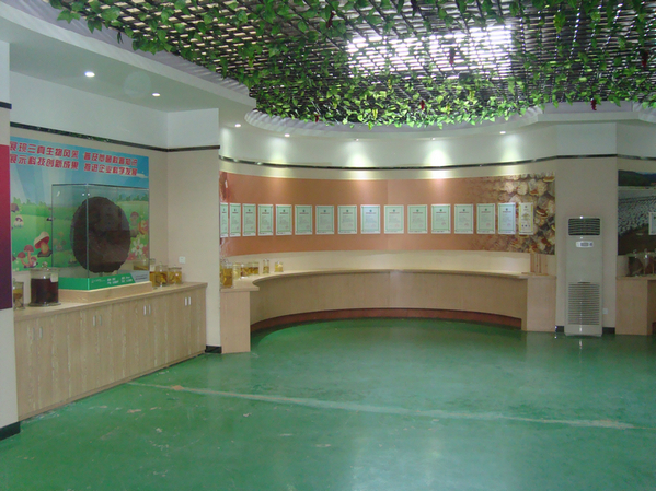 25.JPG