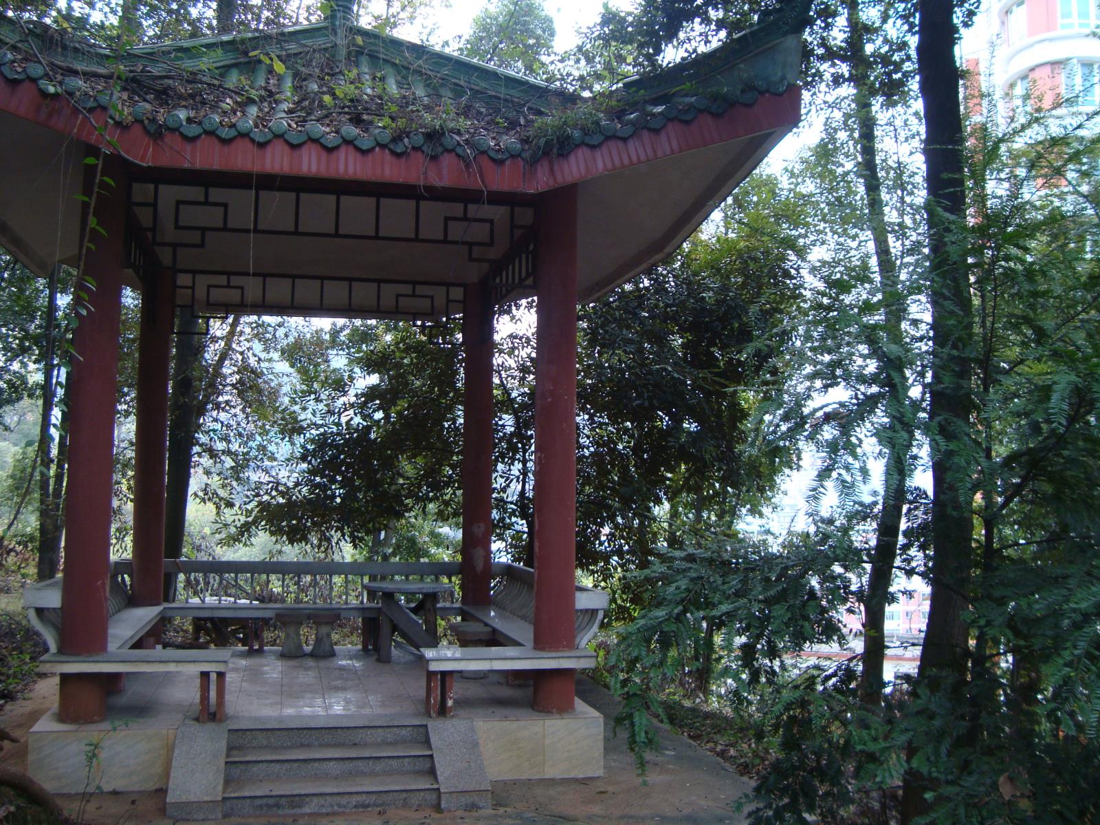 2、菌山林中小亭.JPG