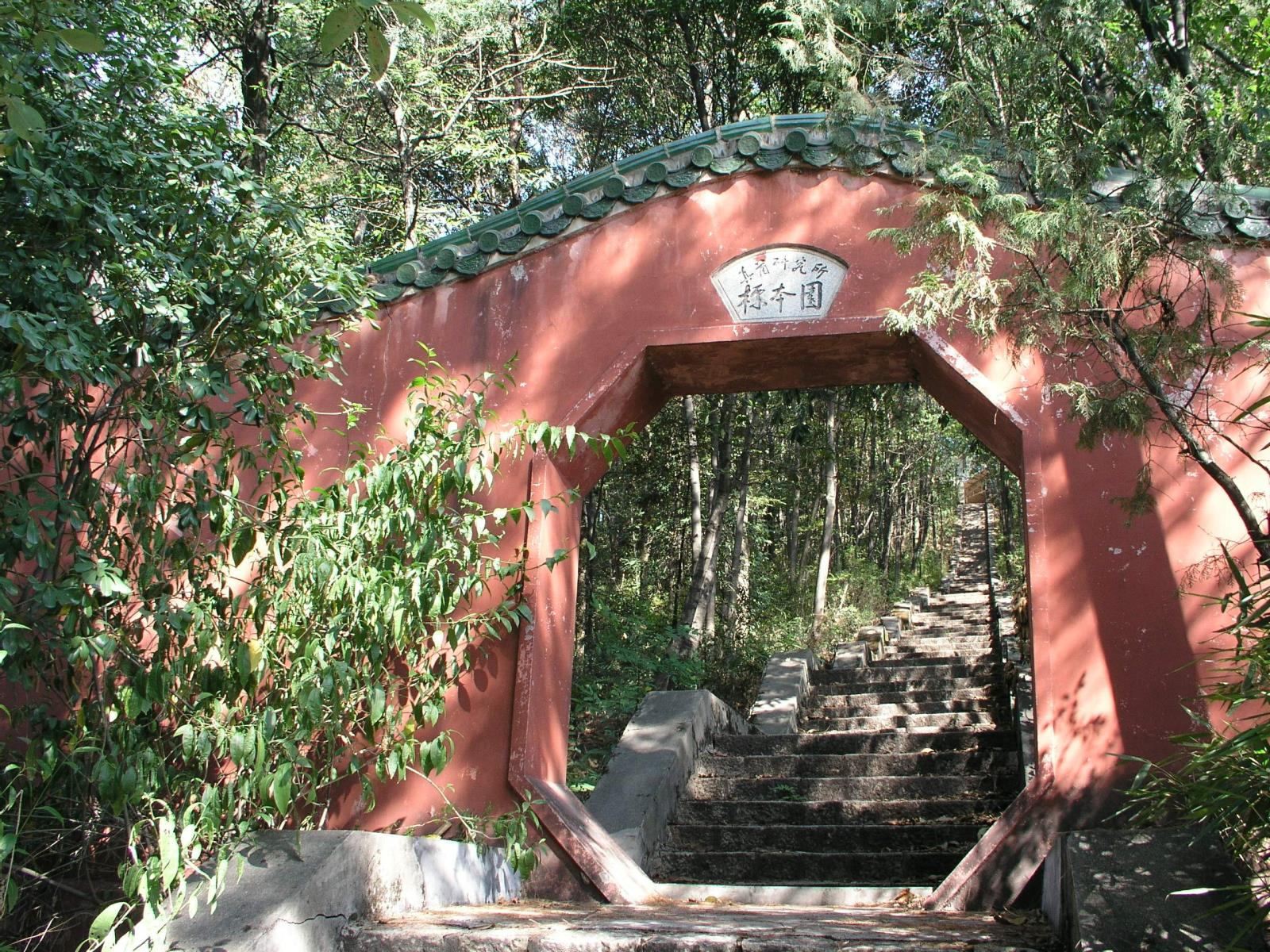 P1010127标本园1.jpg