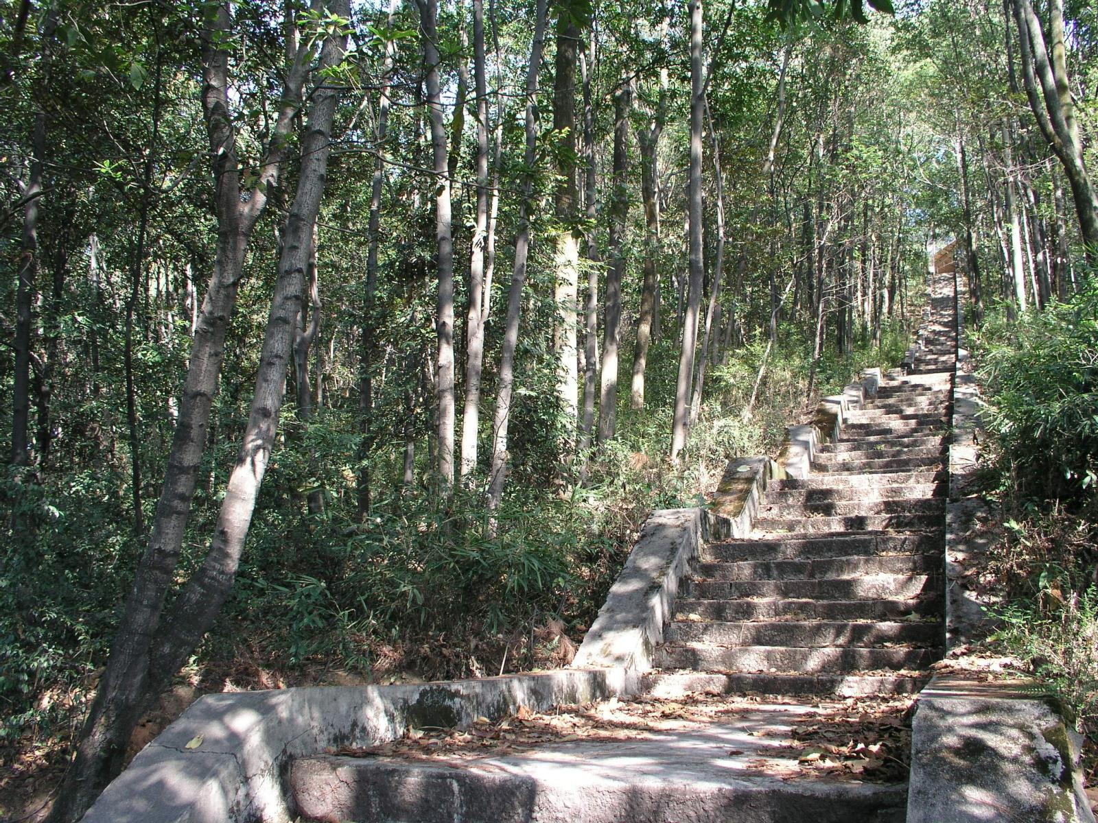 P1010134标本园2.jpg