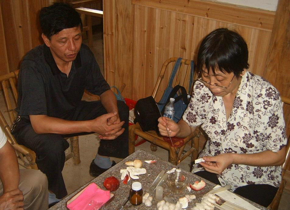 1、张运茂教授级高级农艺师和颜淑婉副研究员试验分离红菇种.JPG