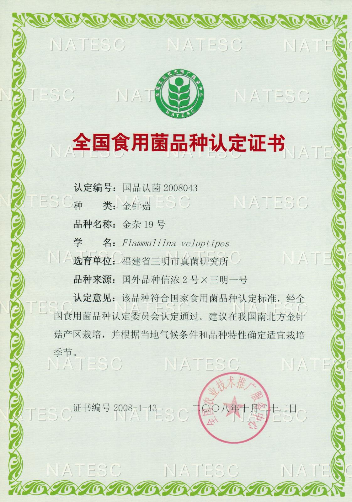 认定证书-金针菇-金杂19号.jpg