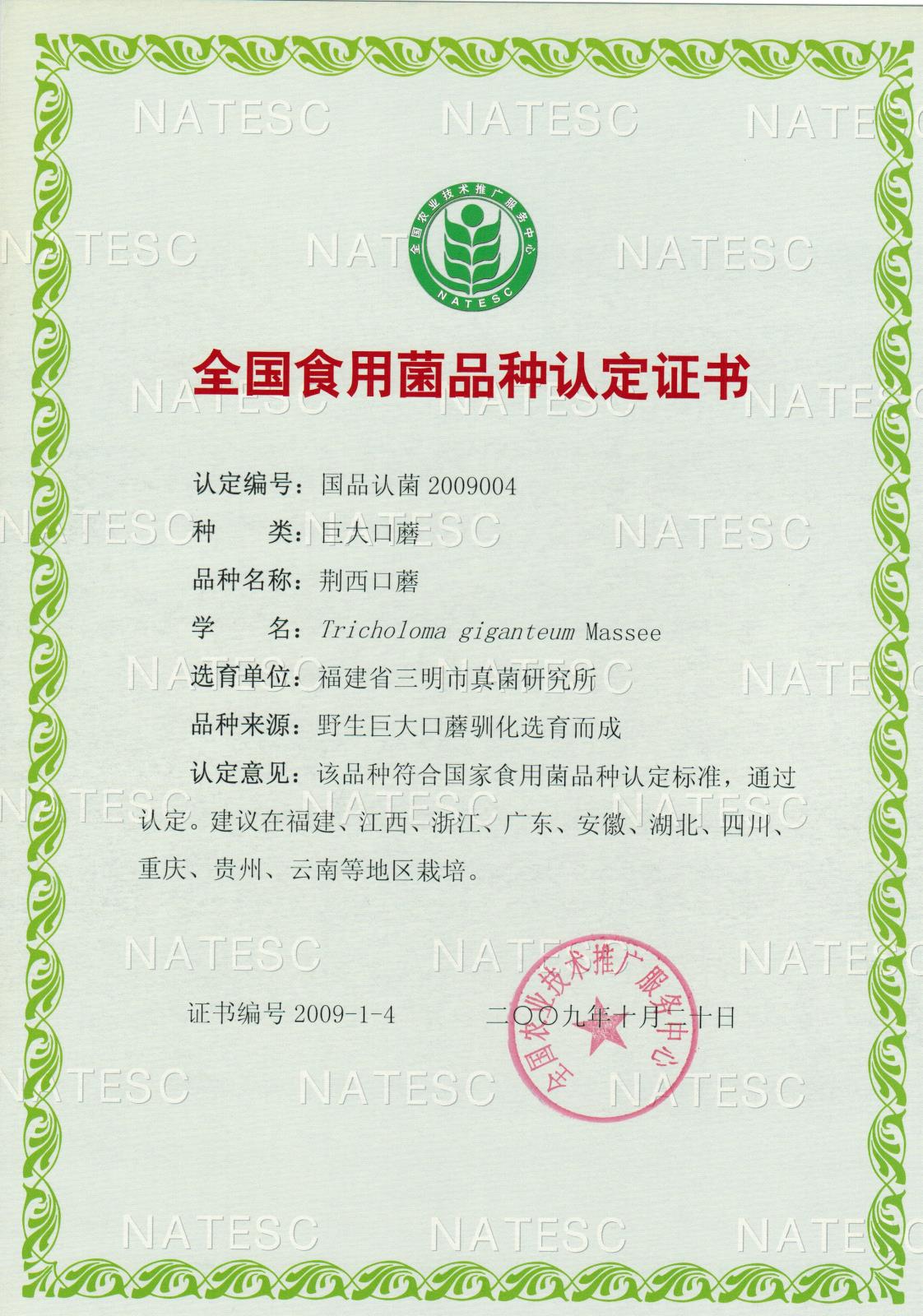 认定证书-巨大口蘑-荆西口蘑.jpg