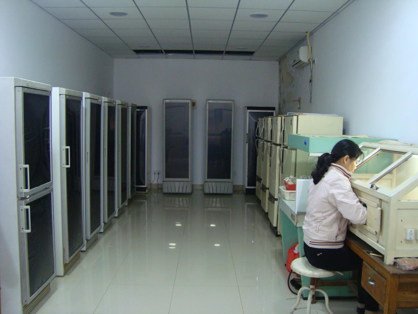 6、黄黎红高级技工在保种.JPG