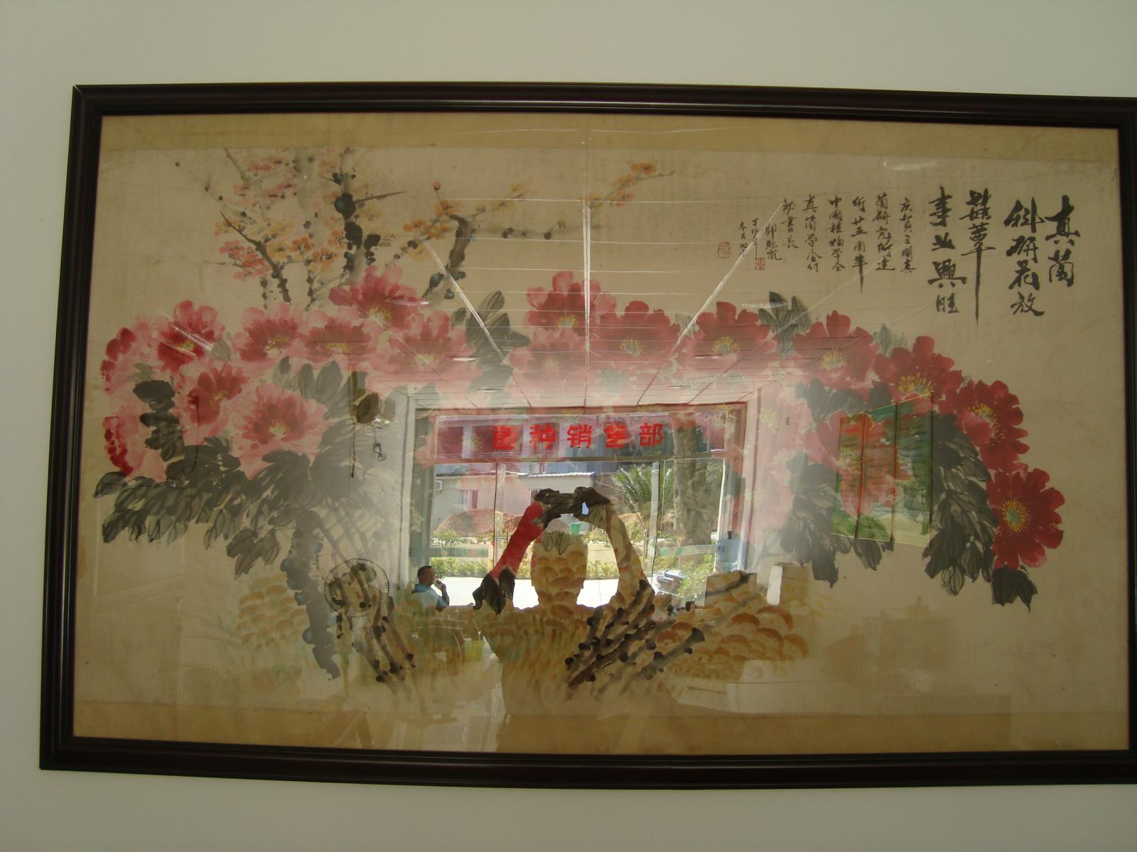 中国科学院微生物所卯晓岚研究员赠画.JPG