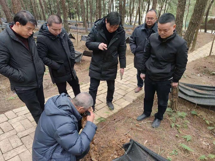 微信图片_202101130846202.jpg